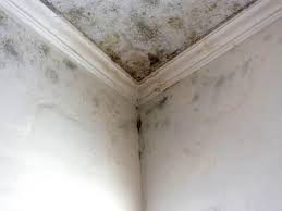 Best Commercial Mold Inspection  in Crestline, CA