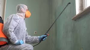 Best Emergency Mold Remediation  in Crestline, CA