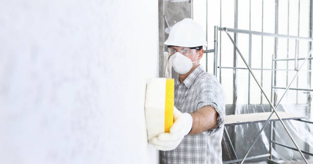 Environmental Consulting for Mold Prevention in Crestline, CA